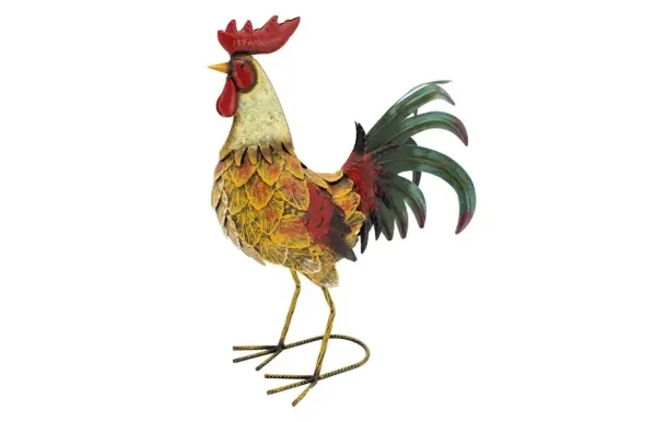 AUBRY GASPARD COQ ME DAN3660